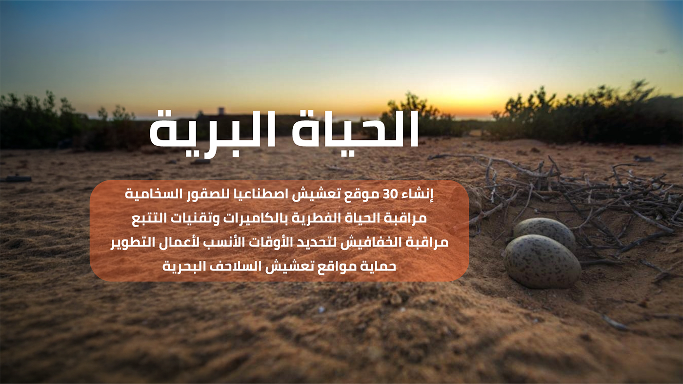 Protecting terrestrial wildlife and nesting sites at The Red Sea destination