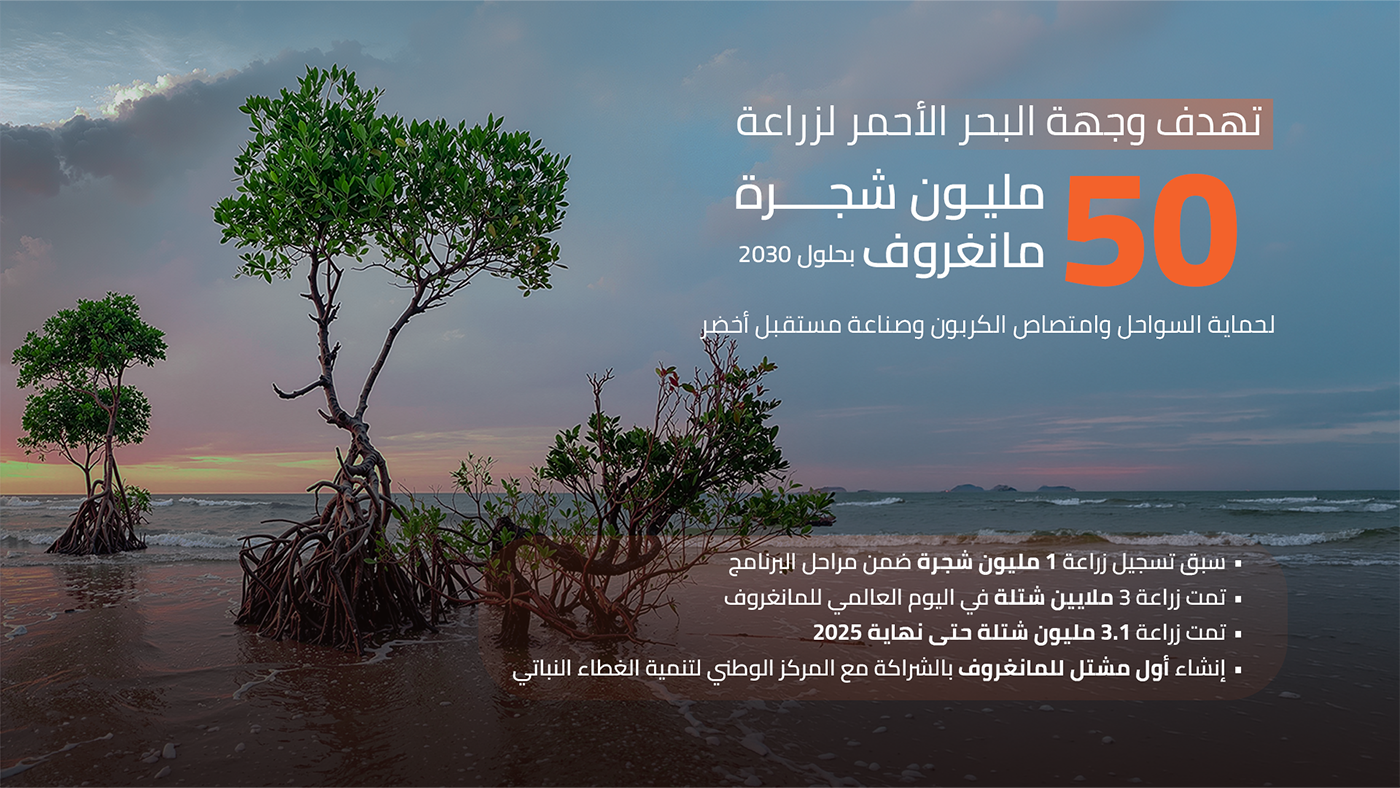 A target of planting 50 million mangrove trees by 2030 to protect coastlines