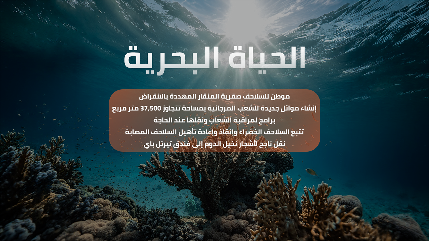 Programmes to protect marine life, turtles and coral reefs